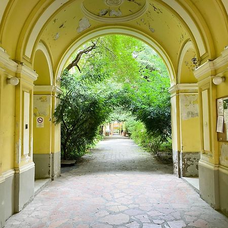Coente Apartments Kiraly 28 Budapest Eksteriør bilde